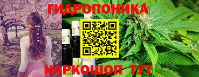 гидропоника Апшеронск